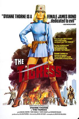 网站二级目录优化方案